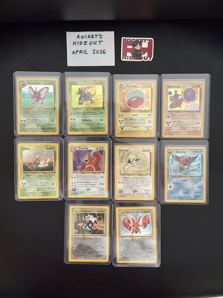 Piloswine #43
