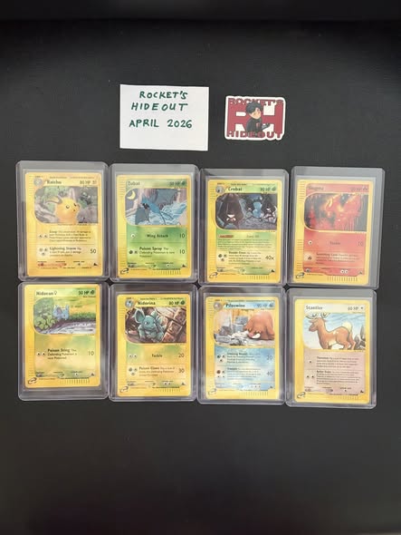 Piloswine #43