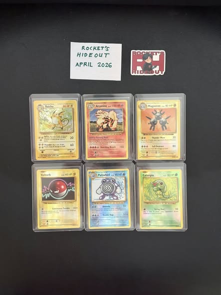 Piloswine #43
