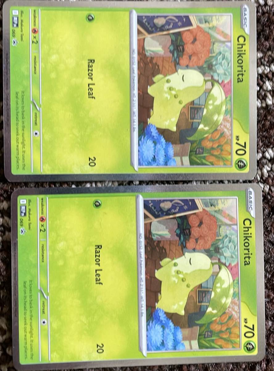 Chikorita #5