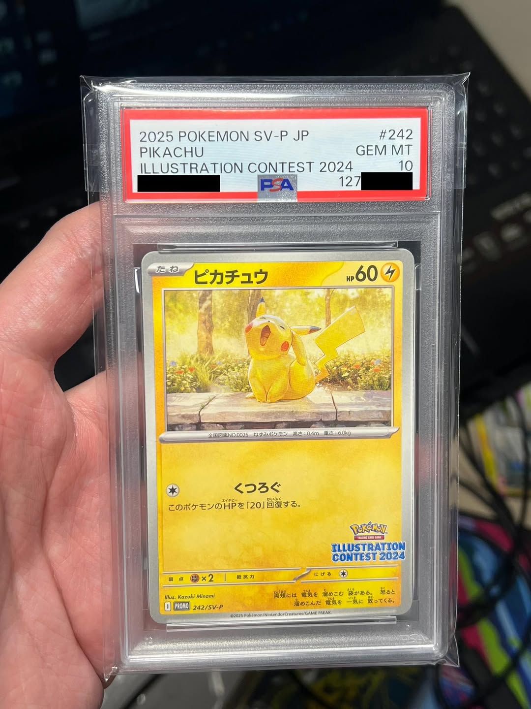 Pikachu 242/SV-P