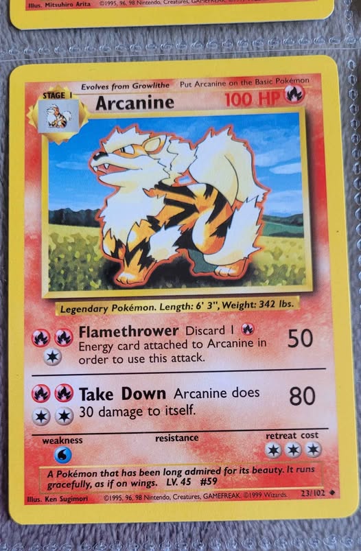 Arcanine #59
