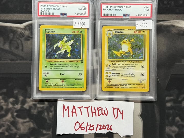 Raichu #14