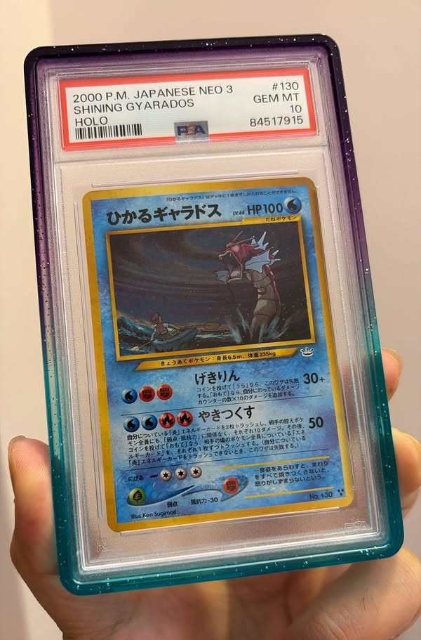 shining gyarados psa10 sold         - Facebook