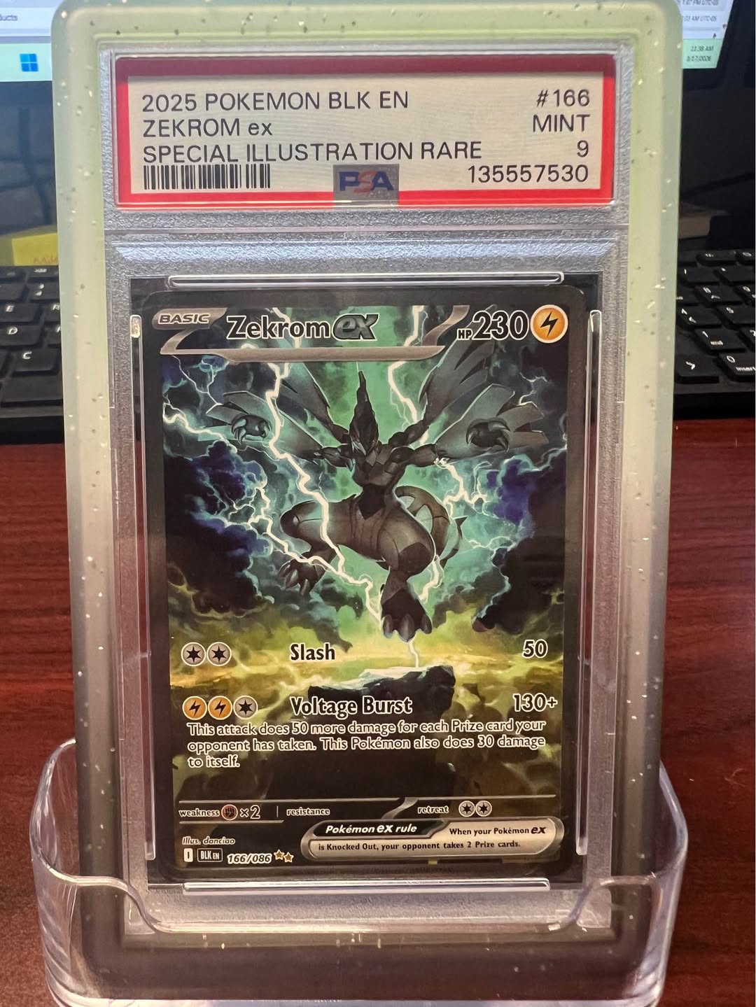 Zekrom ex #166