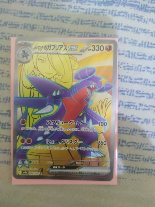 Garchomp #1