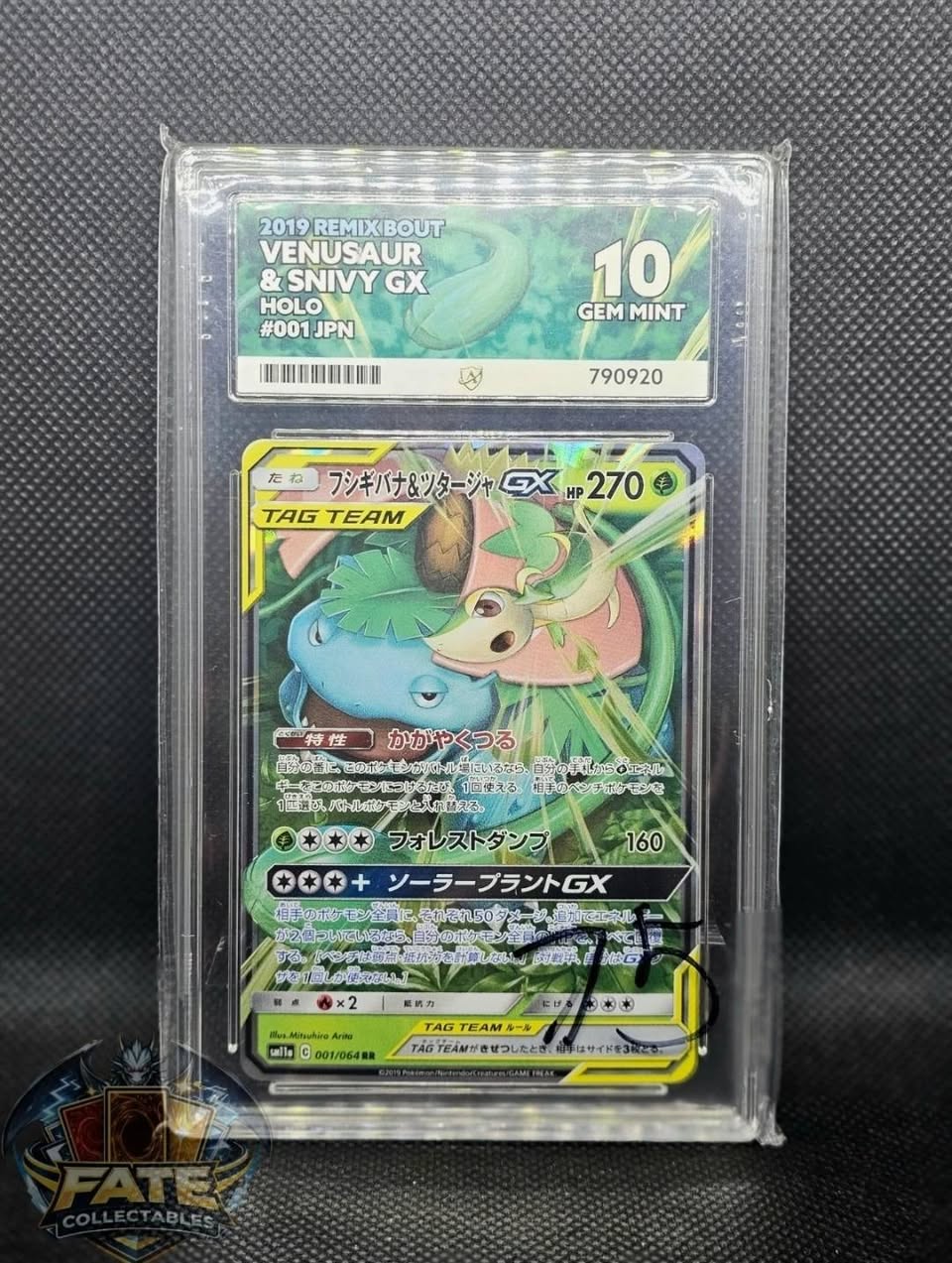 Venusaur ex #001