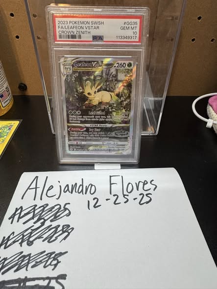 Leafeon VStar PSA10 #GG35 115 shipped in US