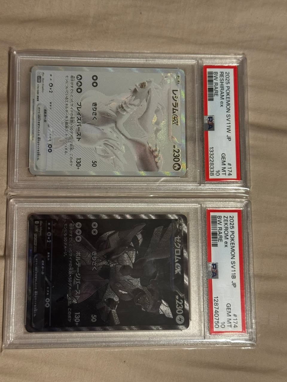 Gengar #20 Fossil