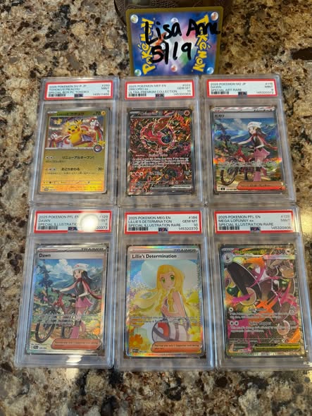 Blaziken ex #024