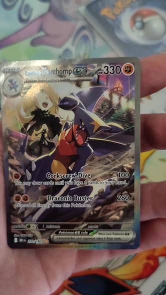 Garchomp #1