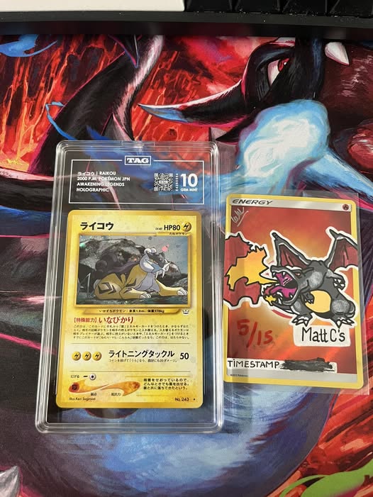 Raikou #19
