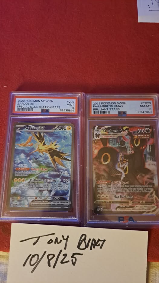 Zapdos ex #194