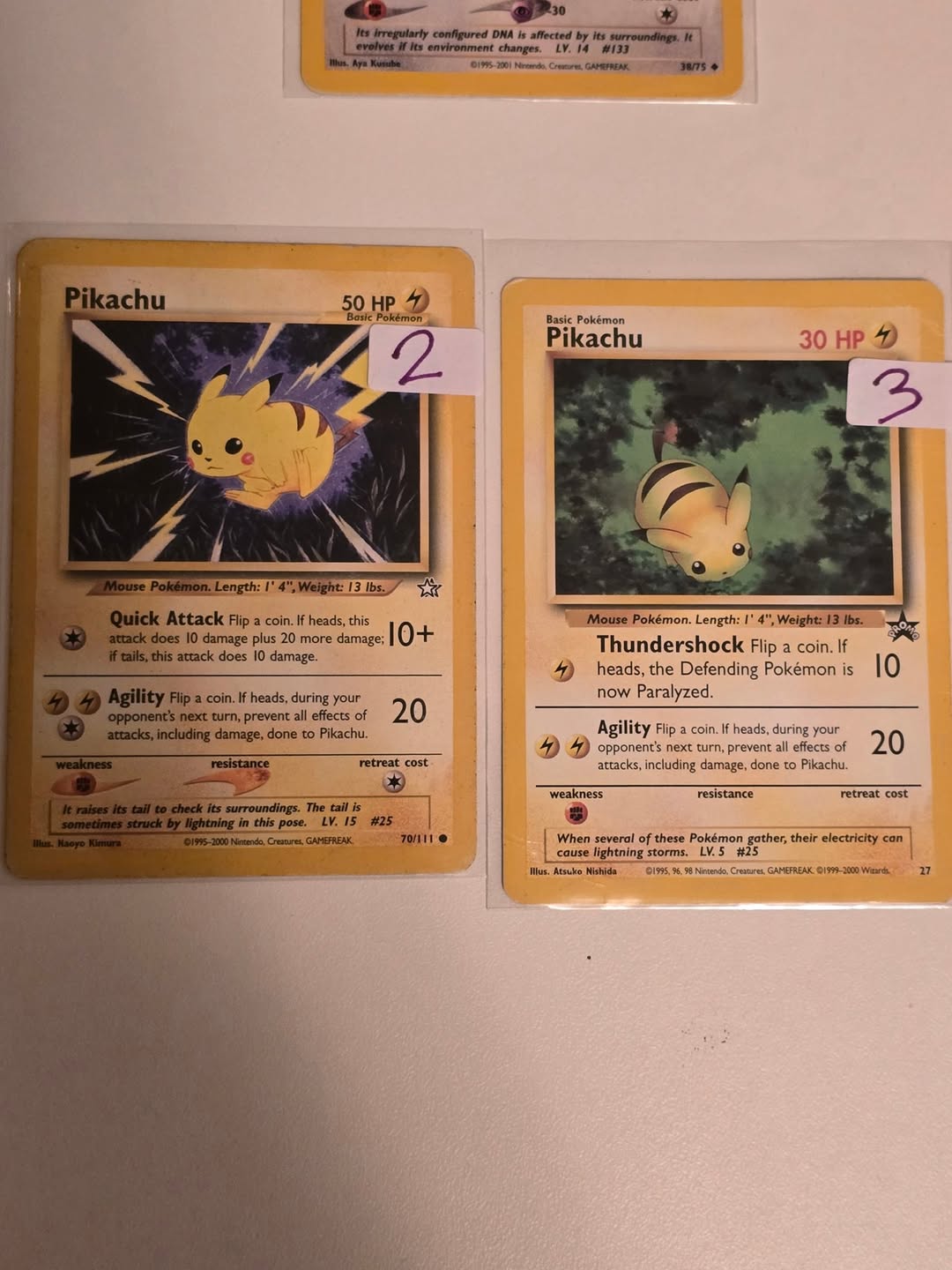 Pikachu 025