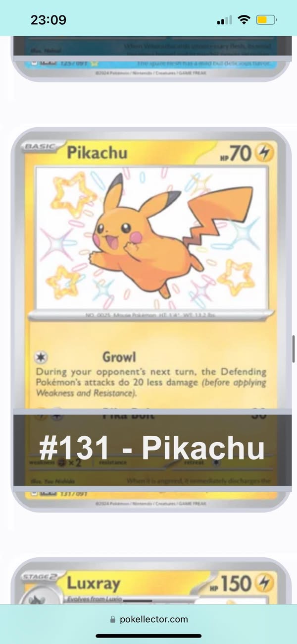 Pikachu #1