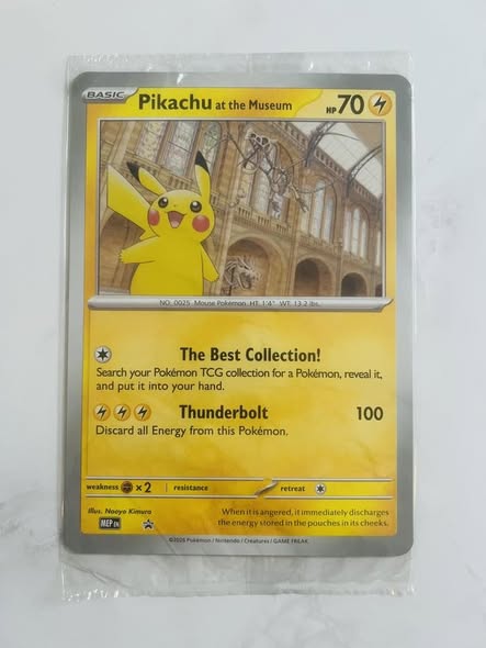 Pikachu 025