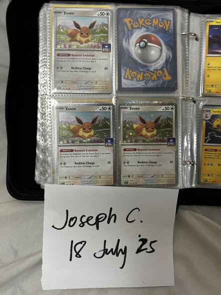 Sneasel #60
