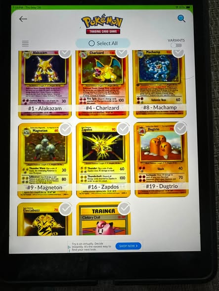 Pinsir #1