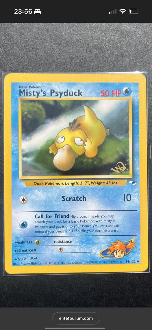 Psyduck #54