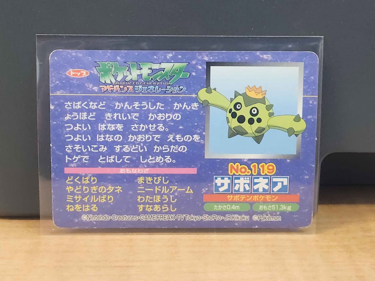 Cacnea #13