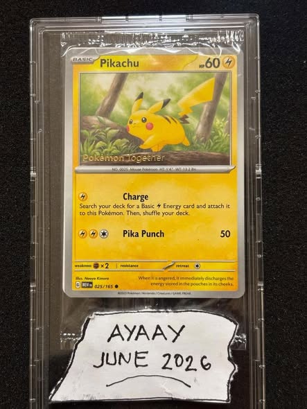Pikachu 025