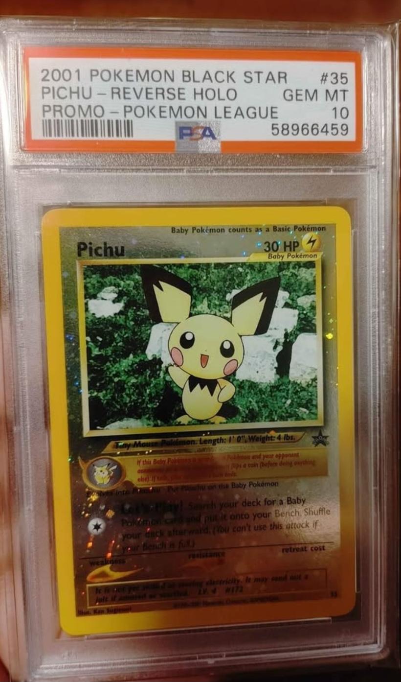 Pichu 35