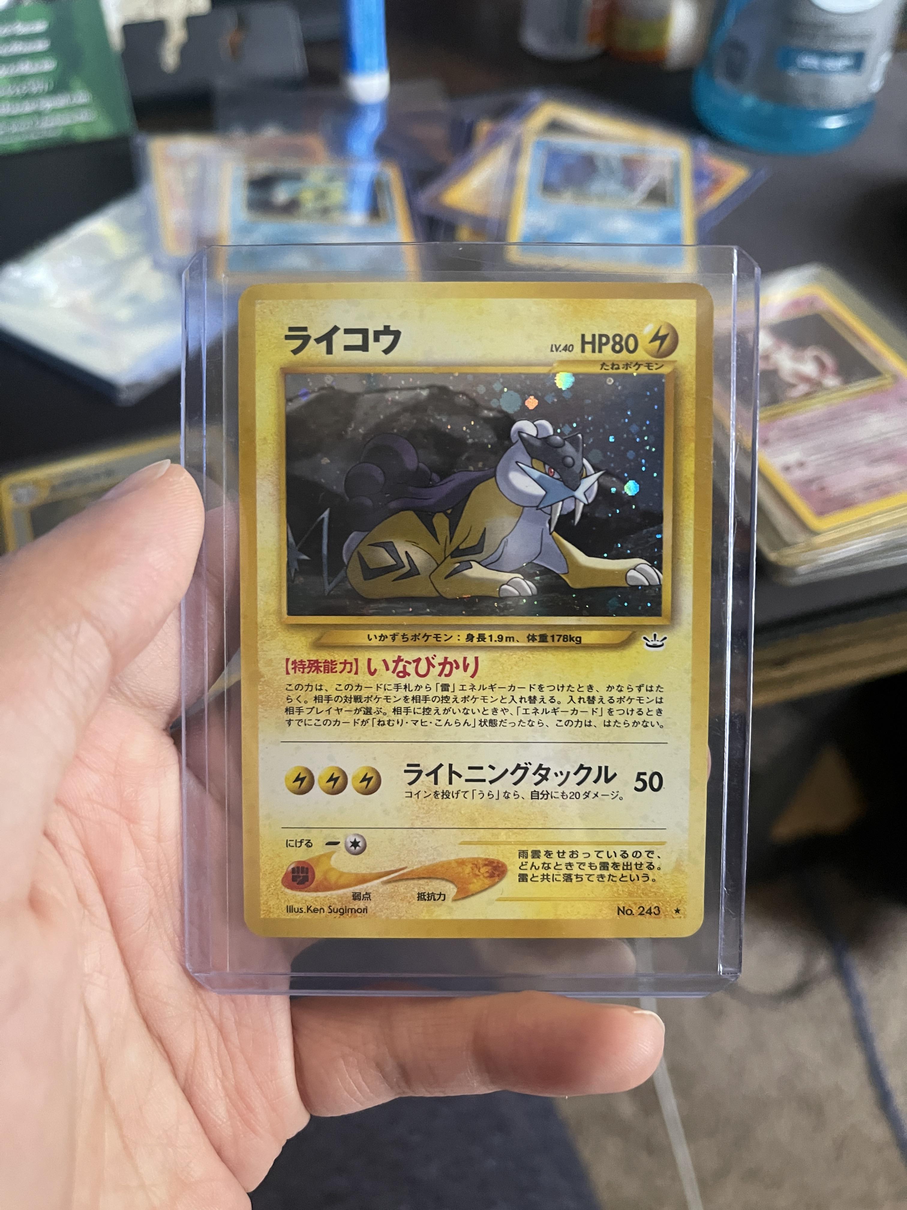 Raikou 243