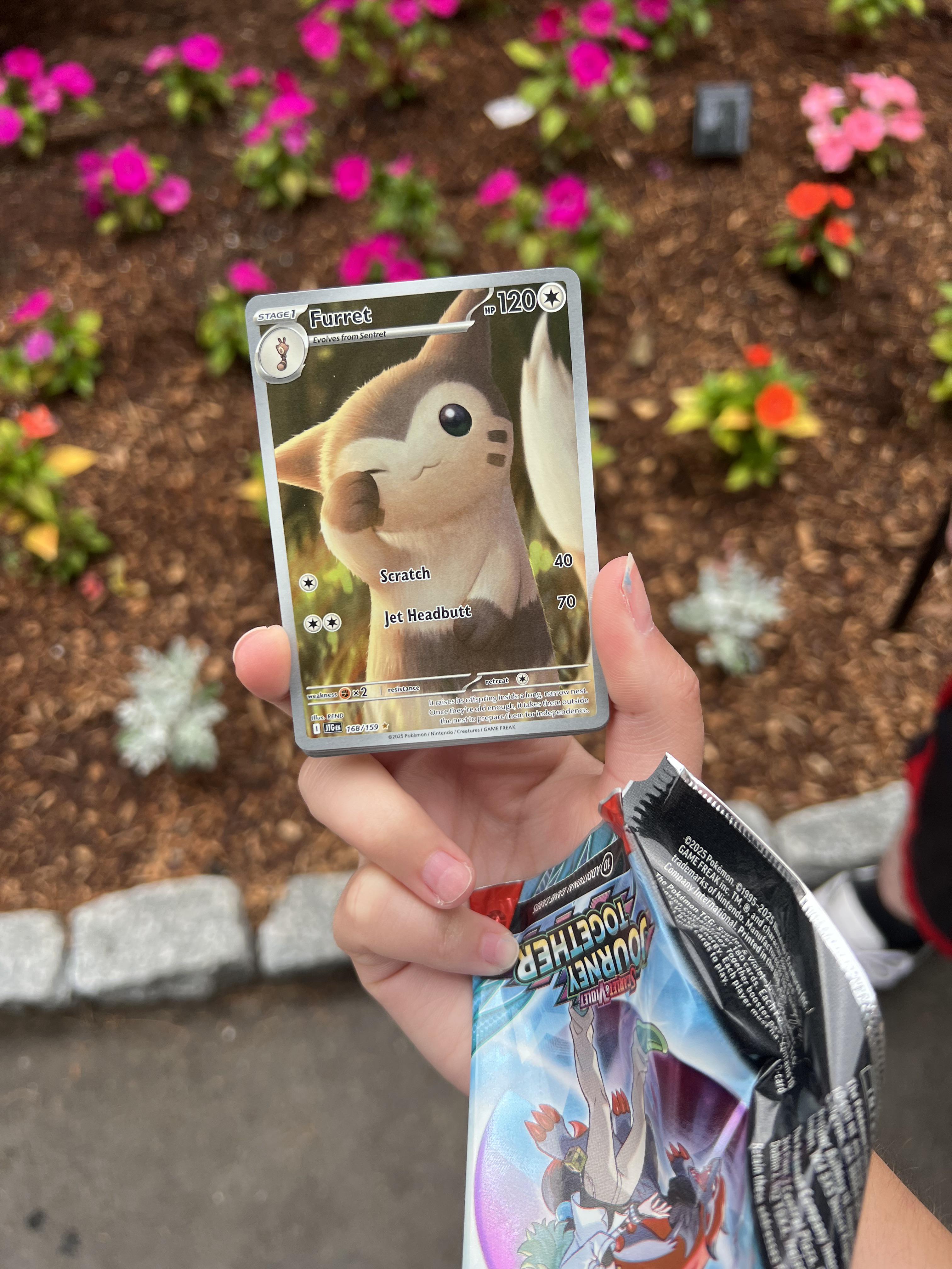 Furret 160/189