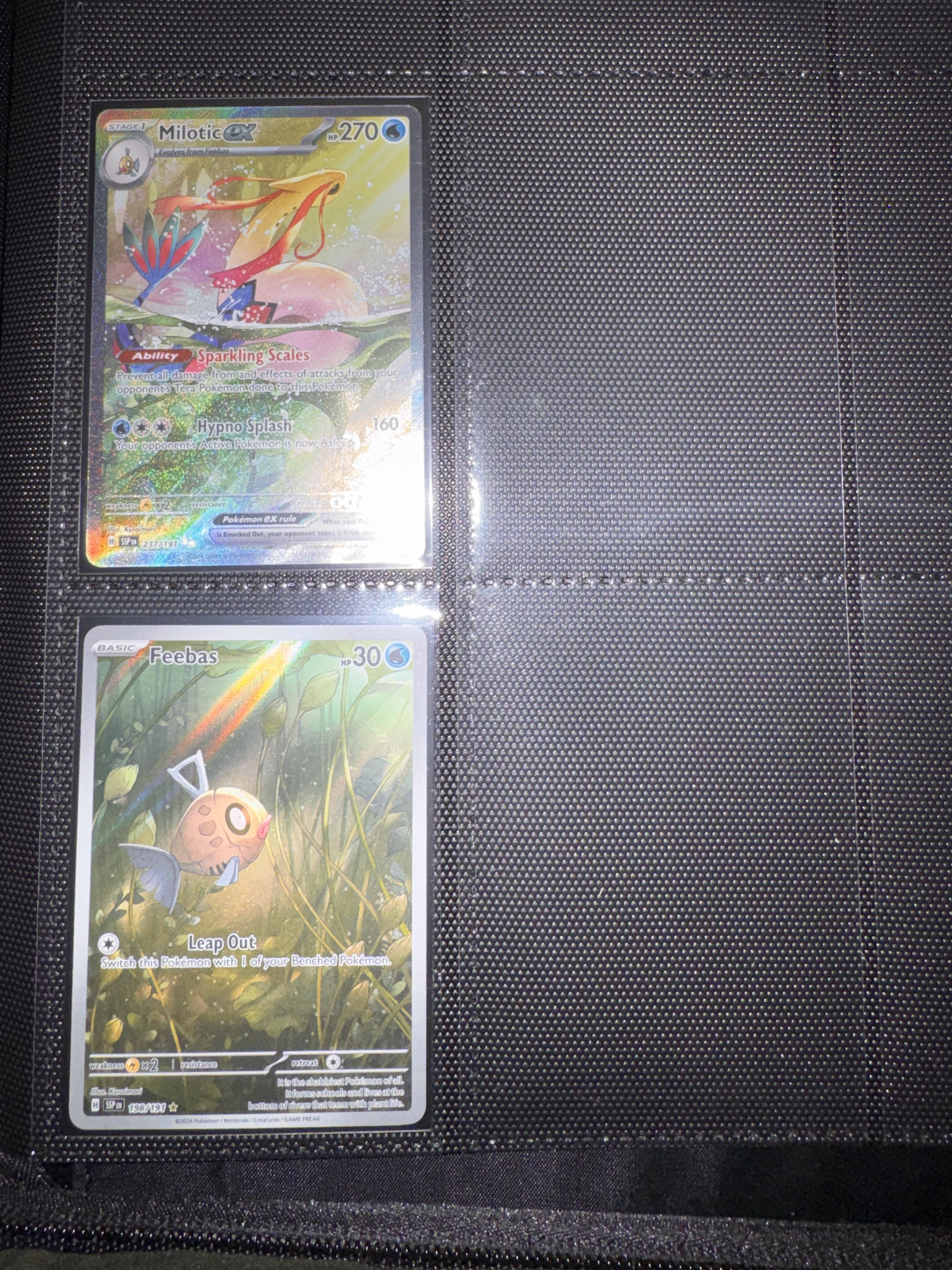 Milotic ex 232/193