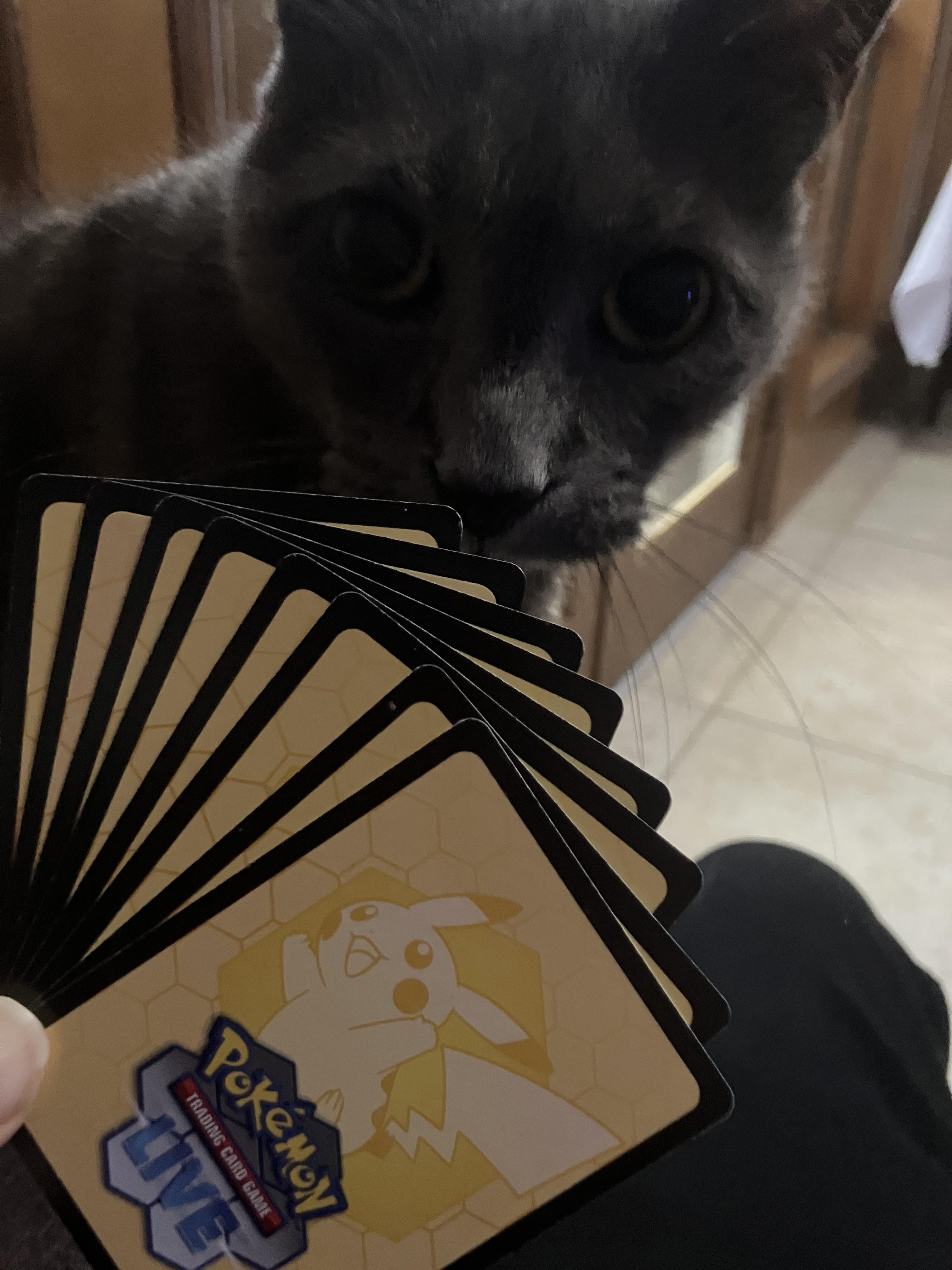 Pokémon Trading Card Game Live Card Back