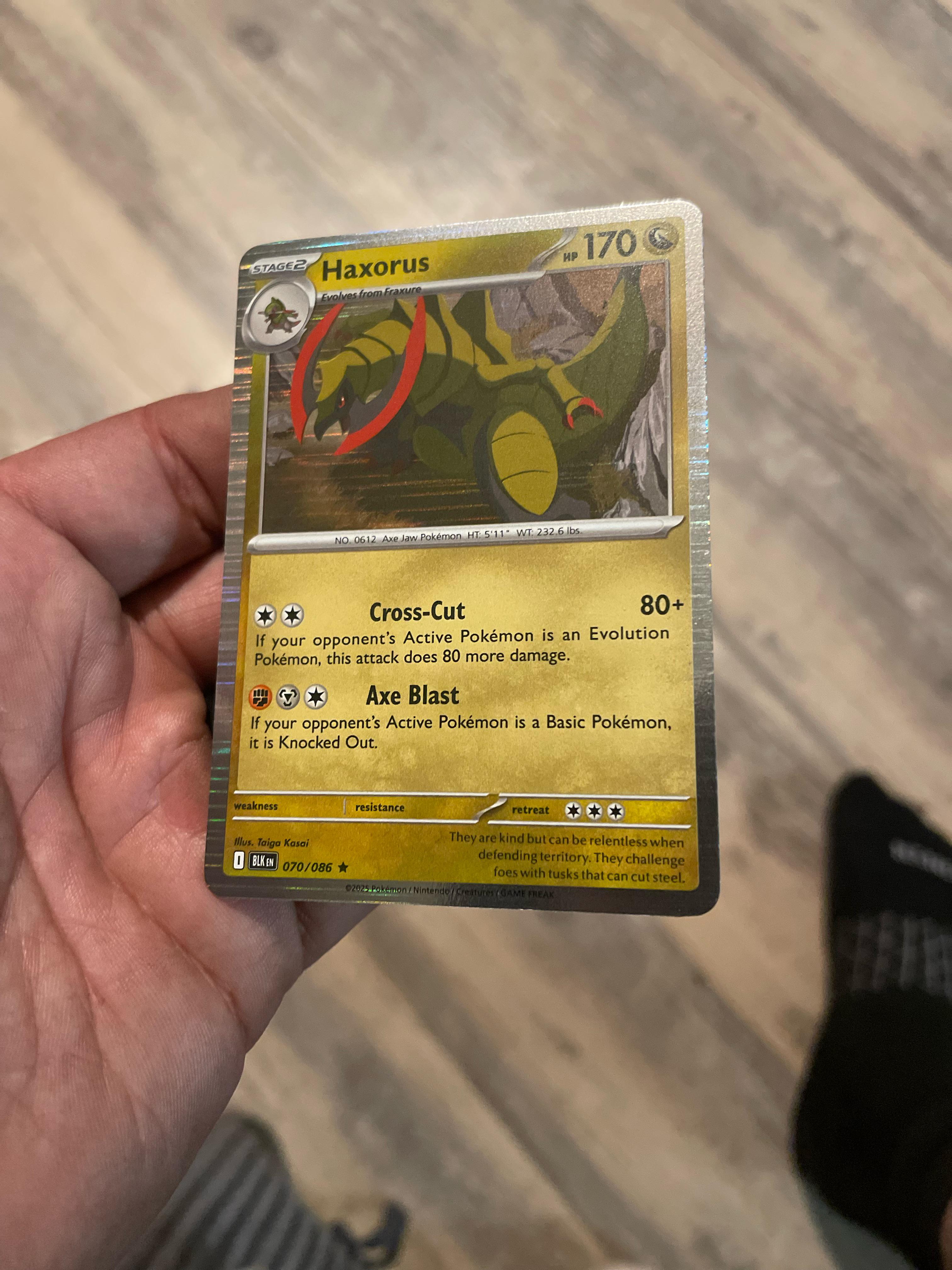 Haxorus 070/086