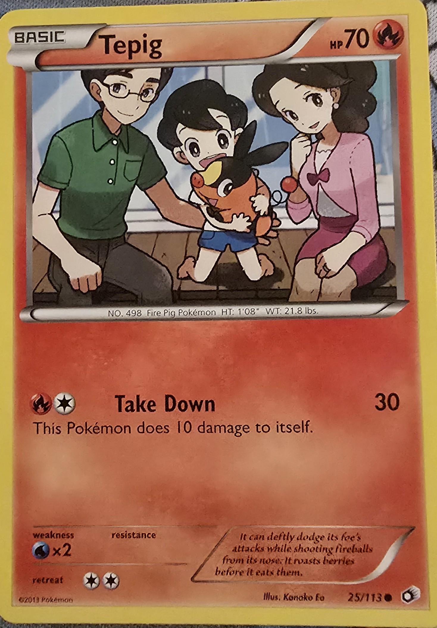 Tepig 25/113