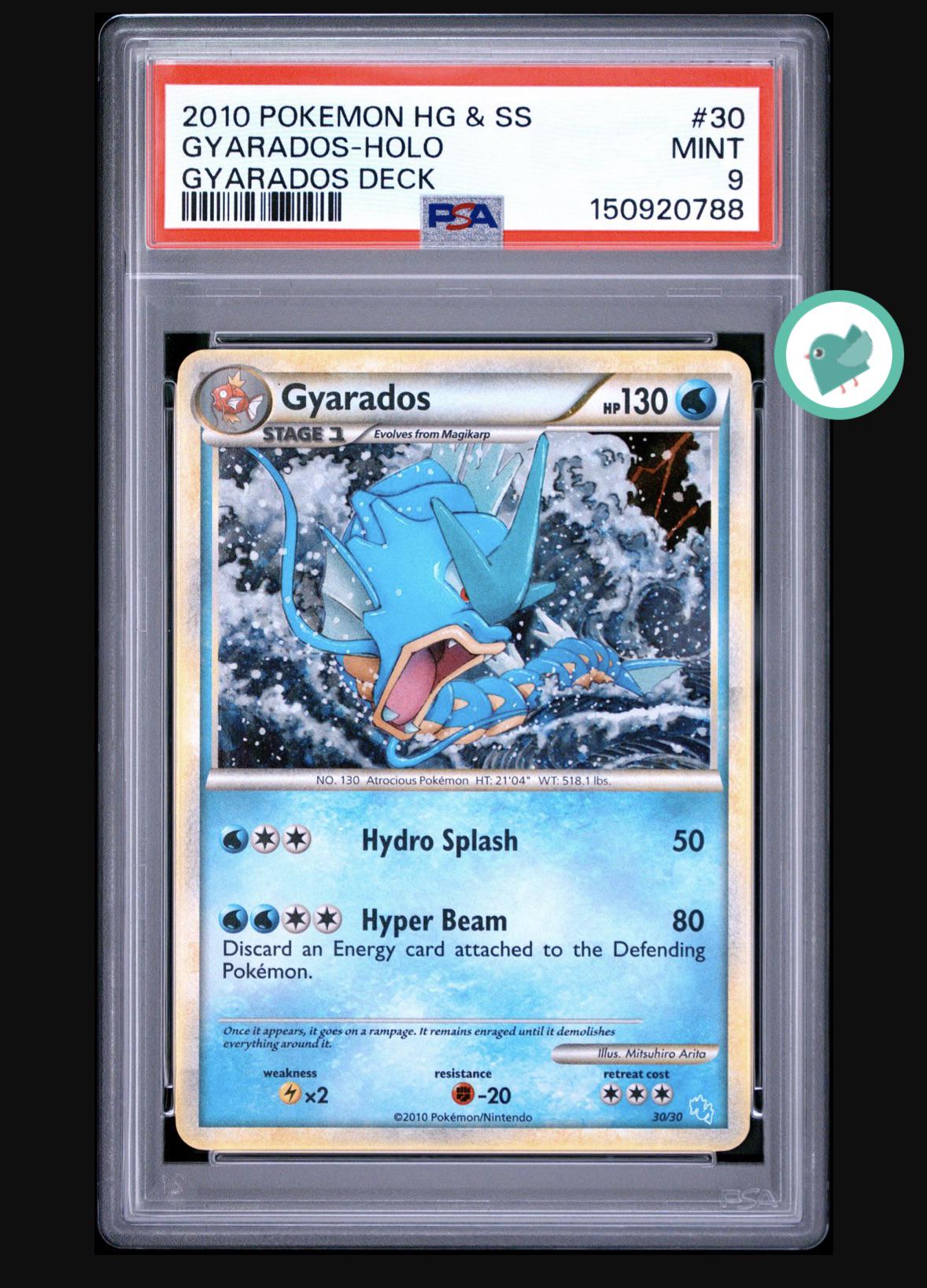 Gyarados 30/30